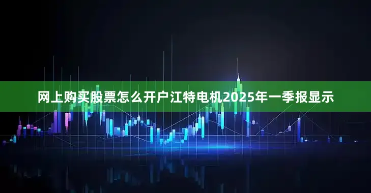 网上购买股票怎么开户江特电机2025年一季报显示