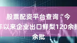 股票配资平台查询　　“今年以来企业出口鲜梨120余批